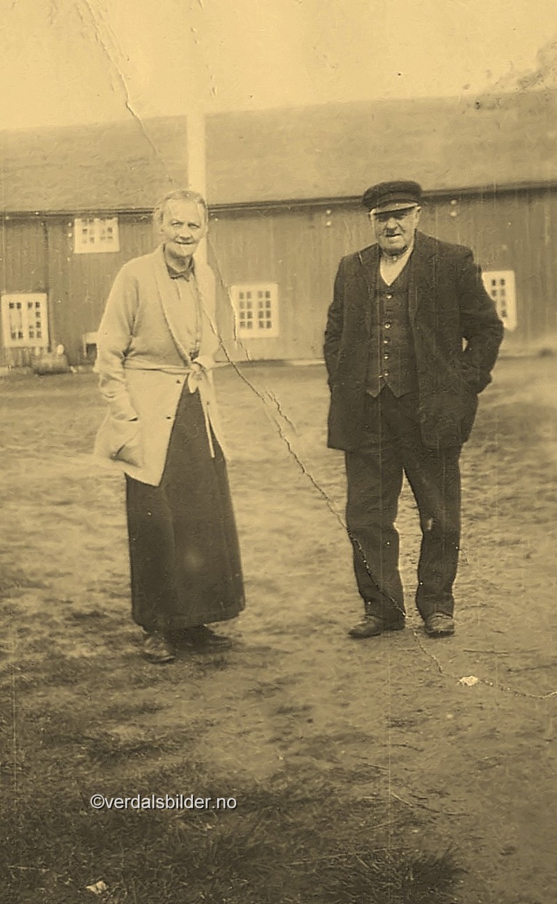 Olina var født i 1861 på Inndal mellom,(Oppstu) Hun var datter av Johan Iversen Aarstad, som var bygselmann i Inndal mellom fra 1854 til 1865 og senere husmann på Garnesmoen,Olina var ugift, og var i tjenste hos flere familier, bl. a. i Oslo hos en general Bull. På sine eldre dager bodde hun sammen med sin bror Anders Garnes (