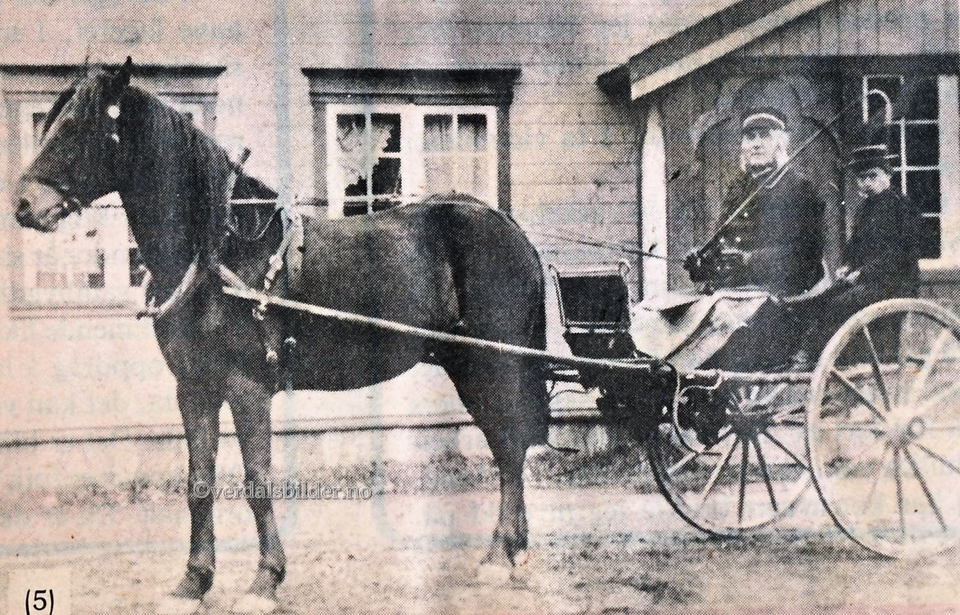Her i sin kajol forspent en sprek hest klar til utrykking. Bilde og opplysninger i avisklipp fra Verdalingen i 1984.