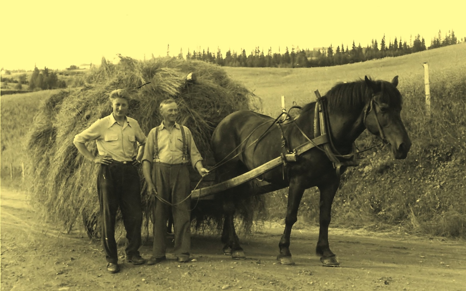  John og Mekal kjøpte Sulstua i 1919 da faren Martin avsluttet sitt leilenningsforhold til Verdal Kommune. Opplysninger fra boka Heimer og Folk i Inndalen og Sul.