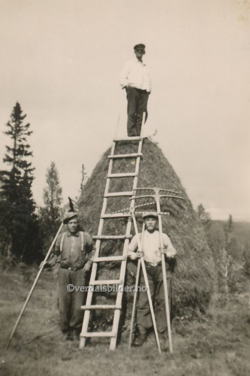 I arbeidet med fjellslått og stakking var redskapen ljå, rive og høygaffel. Utlånt med navna Jorunn Stormo.